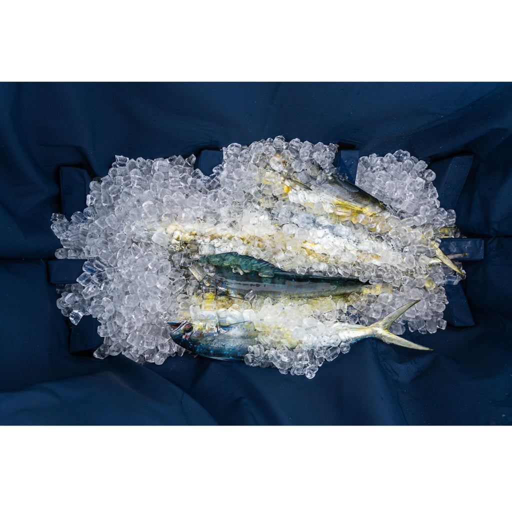 72" Offshore Pelagic Kill Bag Deckhand Sports