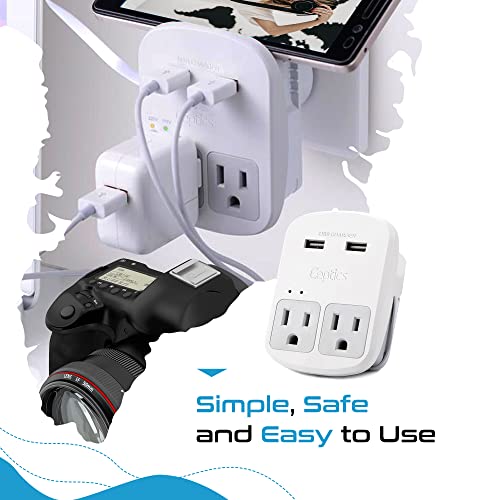 World-Way 13 Travel Adapter Kit | 2 USB + 2 US Outlets - Grounded (WPS-2B+ALL) Ceptics