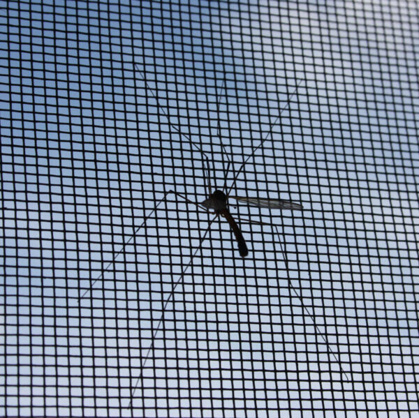 INEOS Grenadier Window Screens Overland Gear Guy