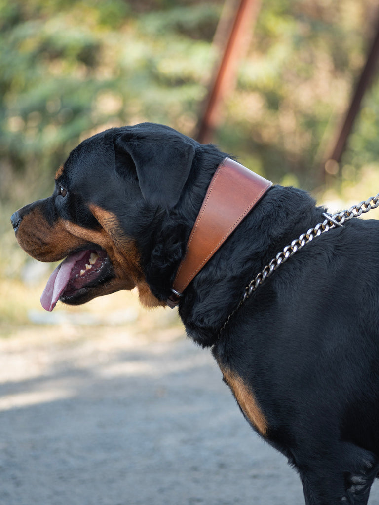 Oval Leather Dog Collar - Tan Classy Leather Bags