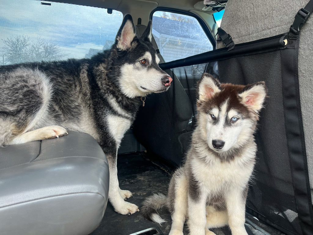 Econoline Van Mesh Dog Barrier Overland Gear Guy