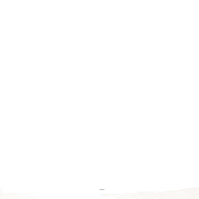 Grace 3 Piece Expandable Retro Luggage Set Travellty