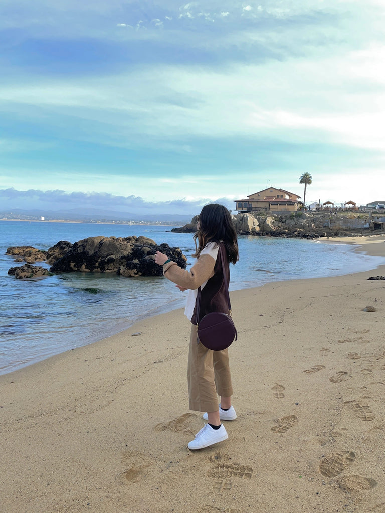 Osgoode Marley Sawyer Circle Crossbody Purse 7027 Osgoode Marley