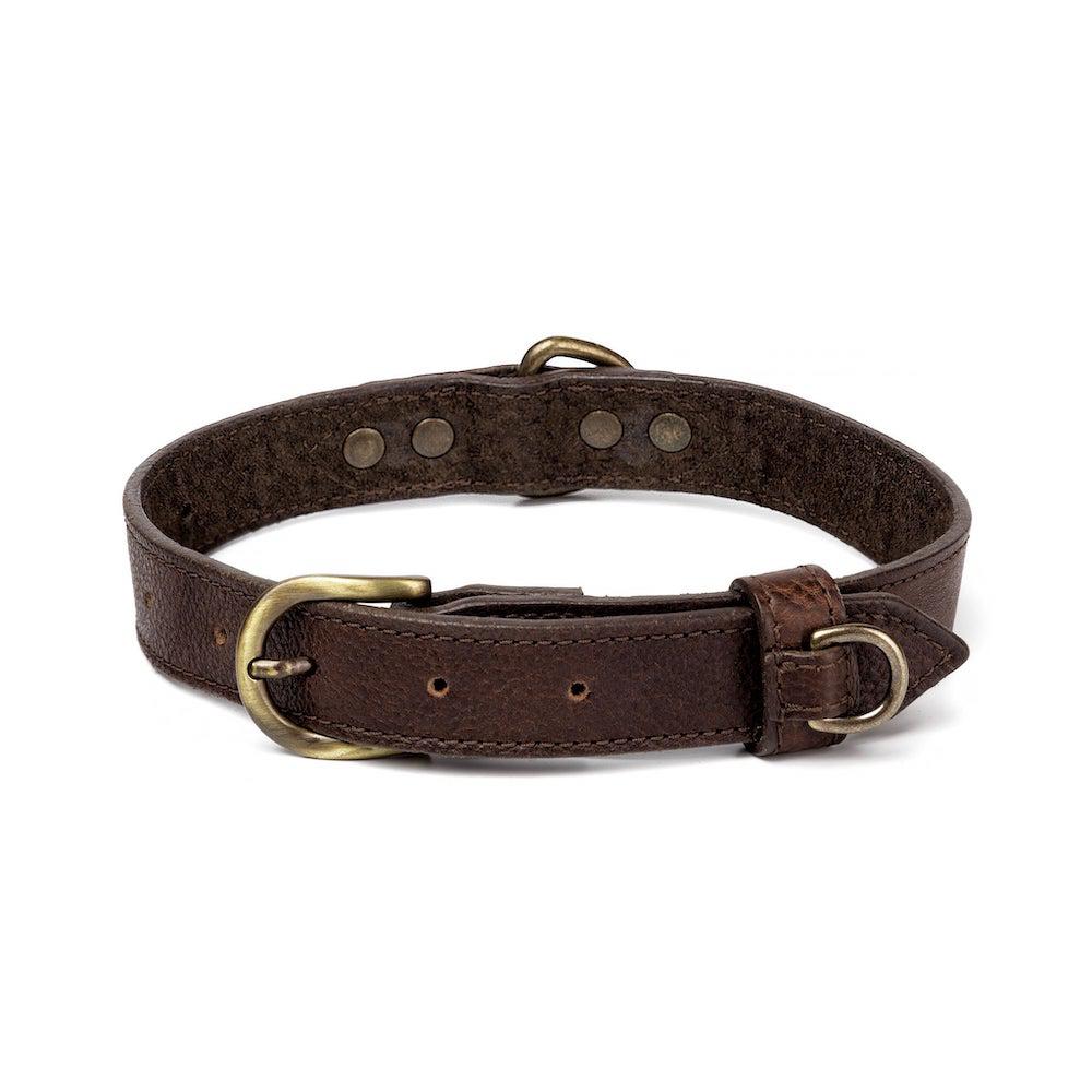 Campaign Leather Dog Collar Mission Mercantile Leather Goods