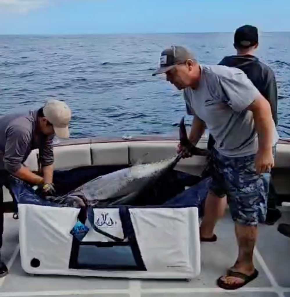 Air Coffin 225L - 48" Multi-Species Insulated Fish Kill Bag Deckhand Sports