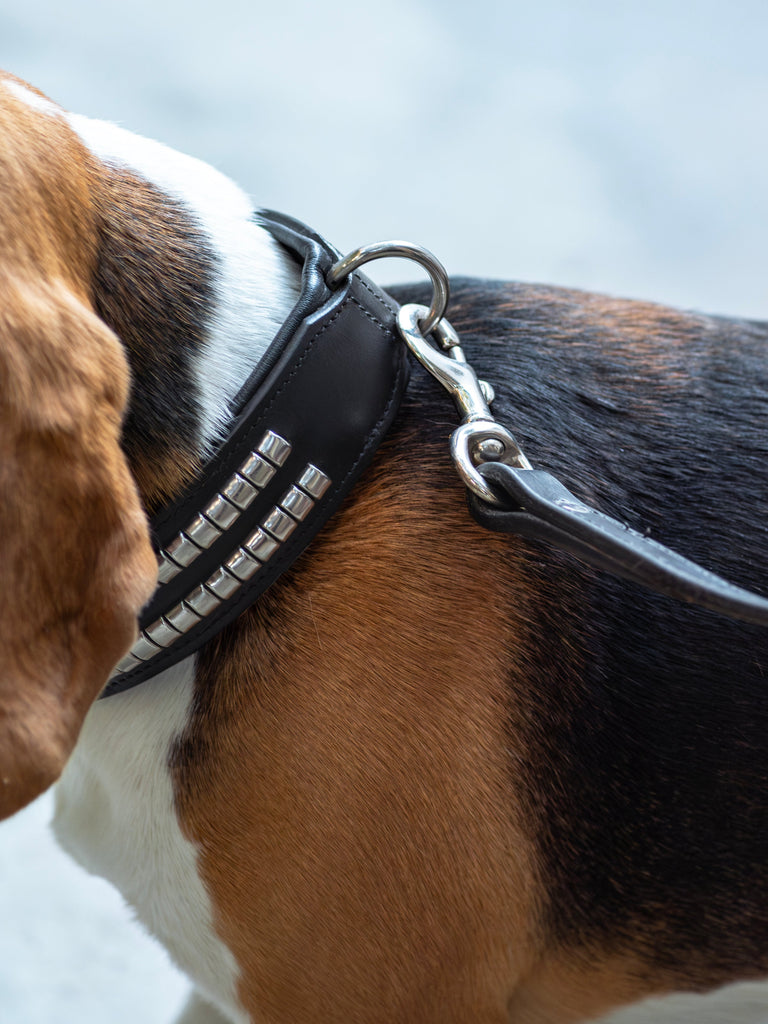 Leather Collar with Designer Studs Classy Leather Bags