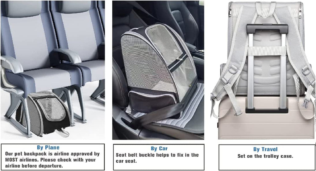 Innovative Traveler Bubble Backpack Pet Carriers for Cats and Dogs (Black) Rnispir Store