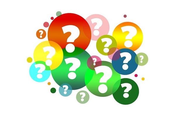 CELL BELT Tough Traveler - Made in USA since 1970