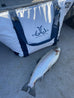 36" Multi-Species Insulated Fish Kill Bag Deckhand Sports