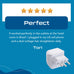 Brazil Travel Adapter - Type N - Ultra Compact (CT-11C, 3 Pack) Ceptics