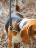 Leather Dog Leash Classy Leather Bags