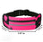 FitStride Running Belt V.I.P Digital Presence