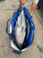48" Multi-Species Insulated Fish Kill Bag Deckhand Sports