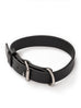 Agitation Leather Dog Collar Classy Leather Bags