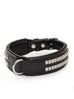 Leather Collar with Designer Studs Classy Leather Bags