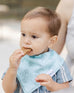 Sealife Wonder Bandana Bibs Collection Baldwin Baby Company