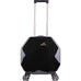 Kensie Luggage Gemstone 20" Dual Spinner Carry On Assorted Colors Kensie